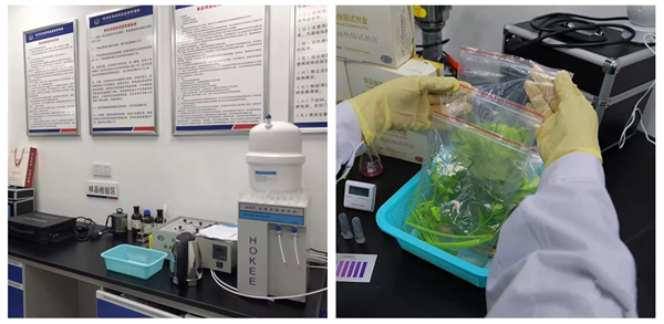 ������k8����Ӯ�ҡ�һ������